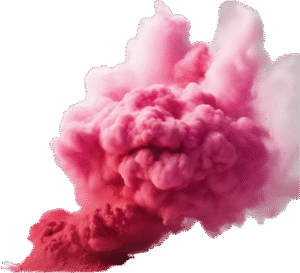 głowa holi różowa święto kolorów