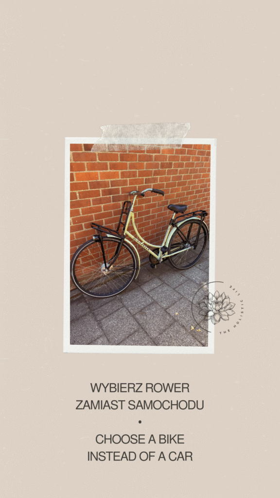 rower gazelle old school bez przerzutek rower miejski damka