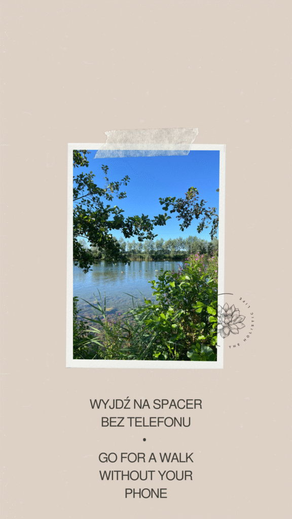 spacer przyroda słońce lato woda jezioro nesselande