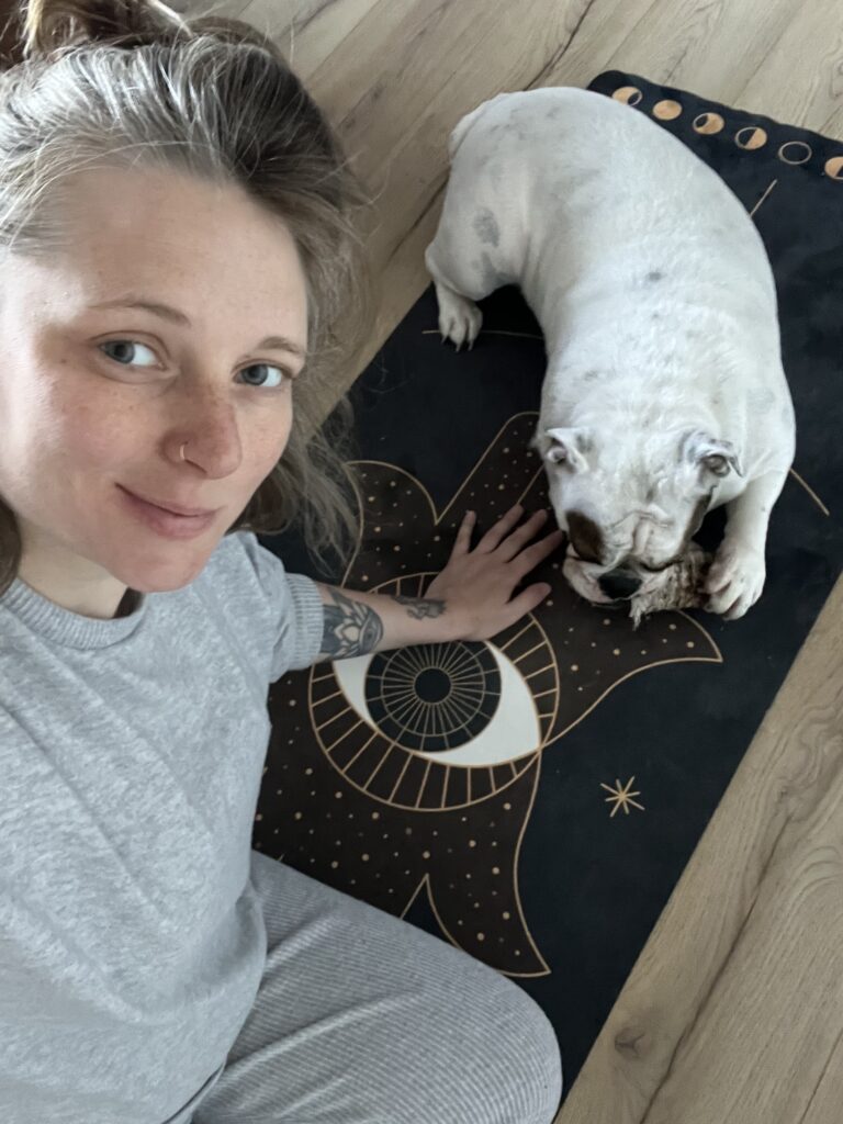 joga mata do jogi moonholi english bulldog